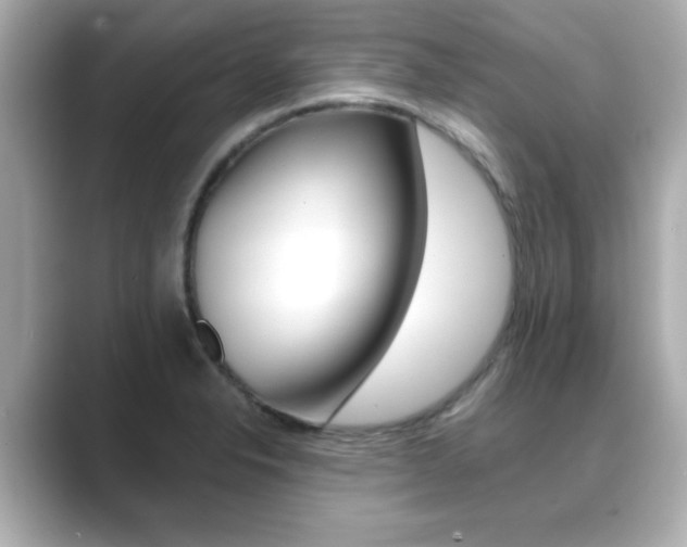 X0000089681326200706210806