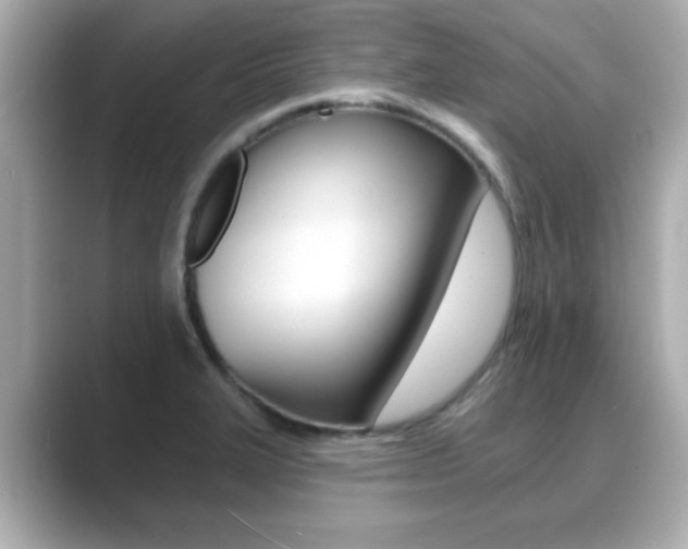 X0000089681327200706210806