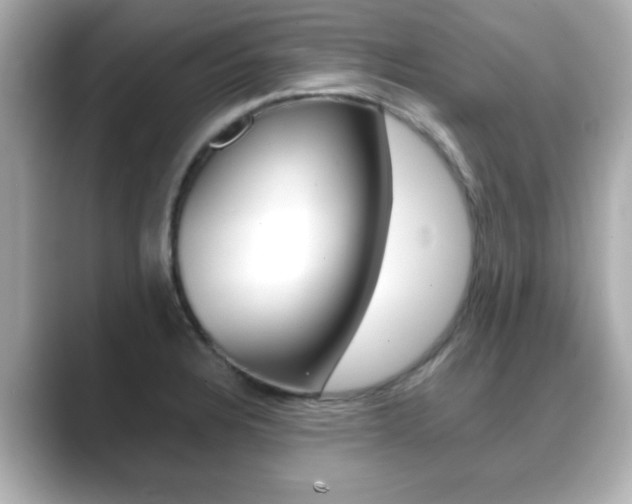X0000089681328200706210806