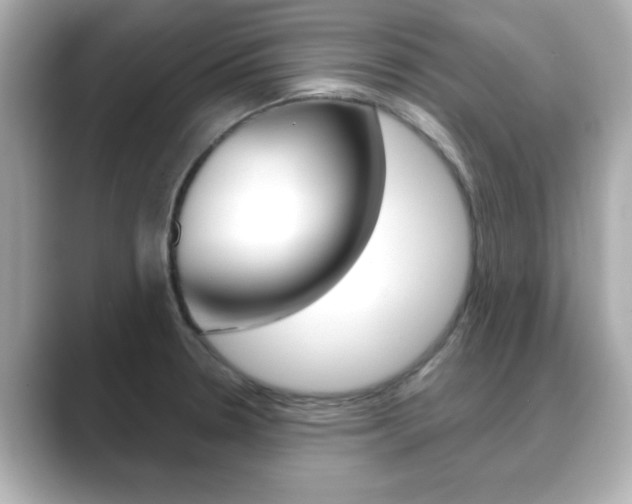 X0000089681330200706210806