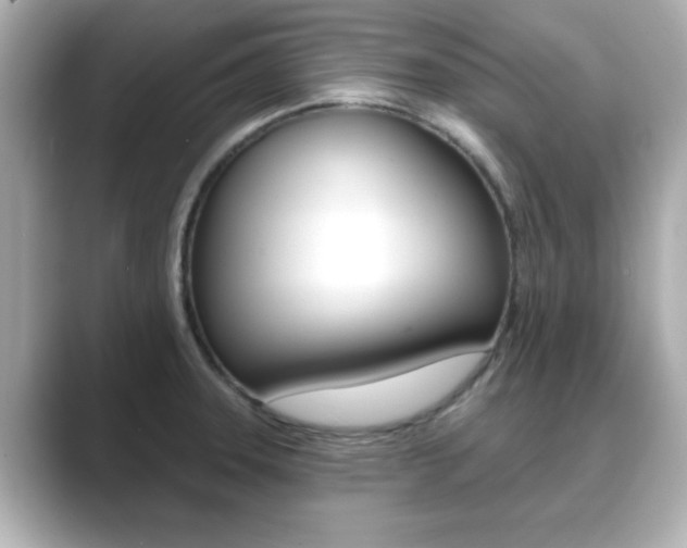 X0000089681331200706210806