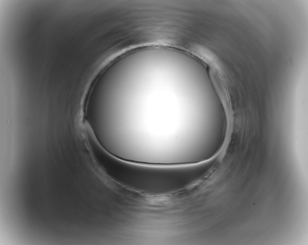 X0000089681332200706210806