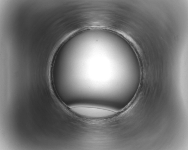 X0000089681333200706210806
