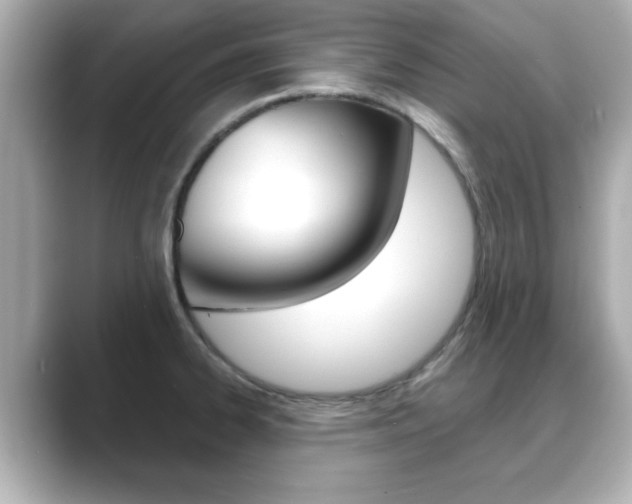 X0000089681334200706210806