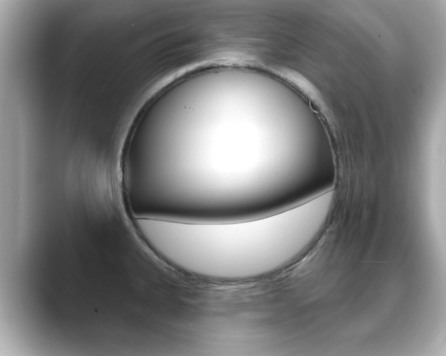 X0000089681335200706210806