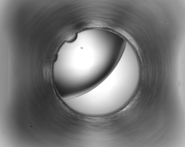 X0000089681337200706210806