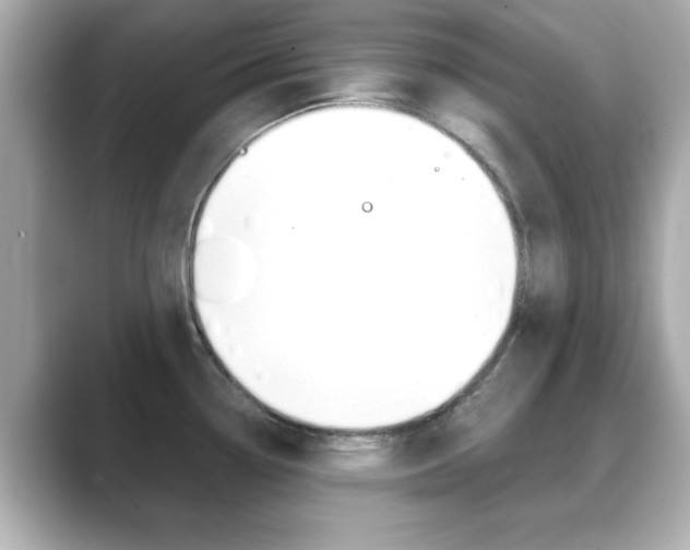 X0000089681338200706210806