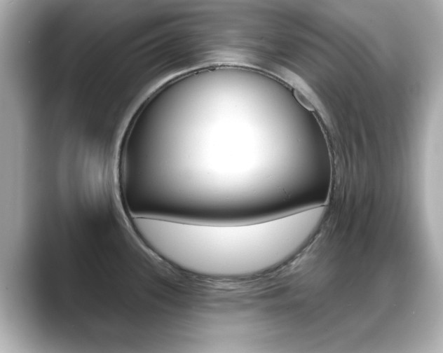 X0000089681339200706210806
