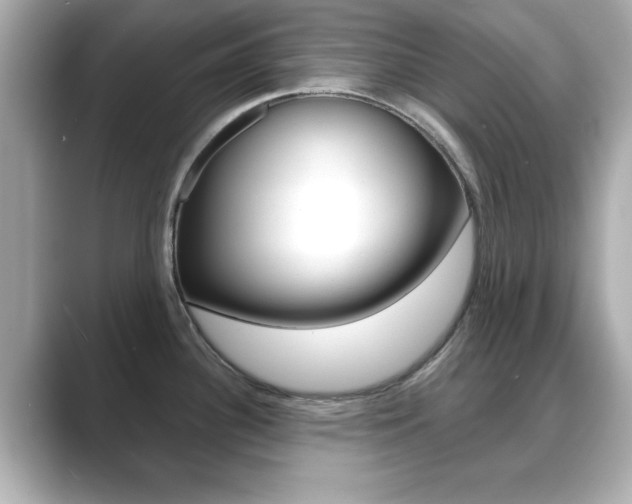 X0000089681340200706210806