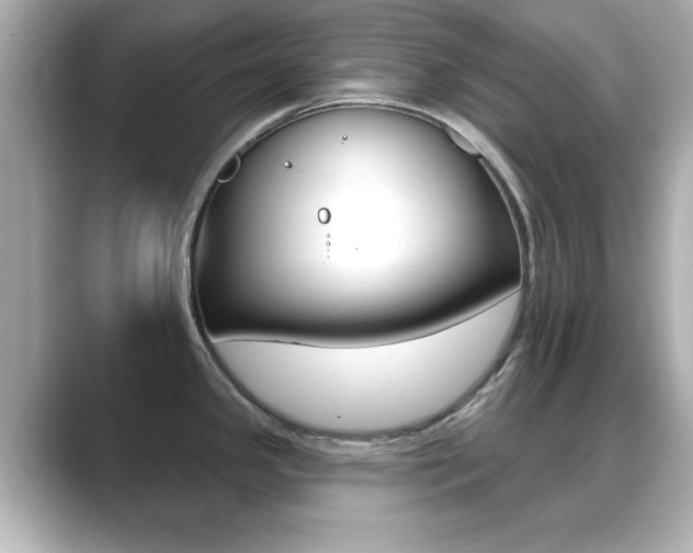 X0000089681341200706210806