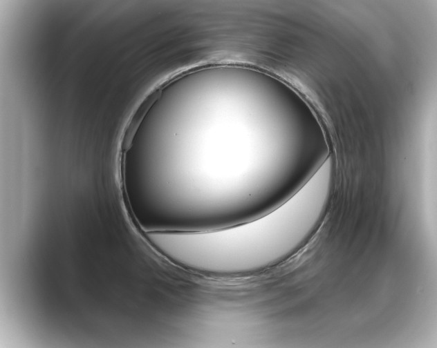 X0000089681342200706210806
