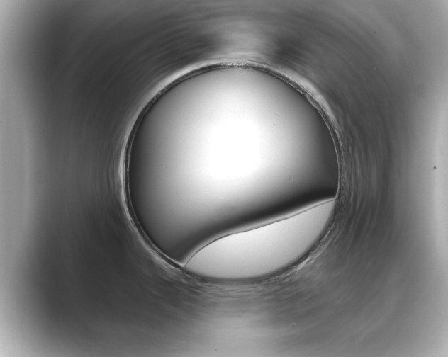 X0000089681343200706210806