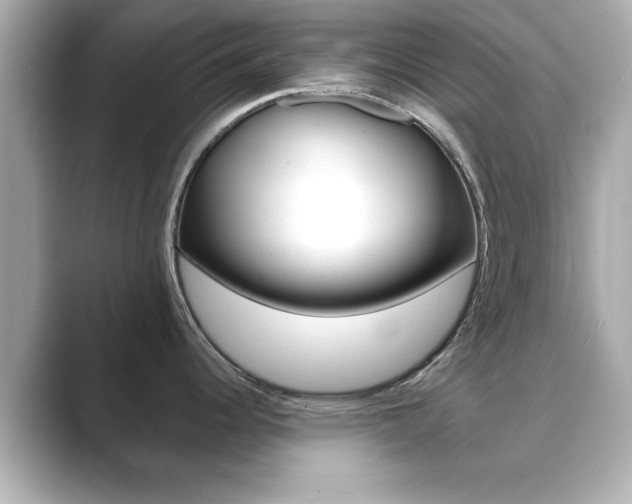 X0000089681344200706210806