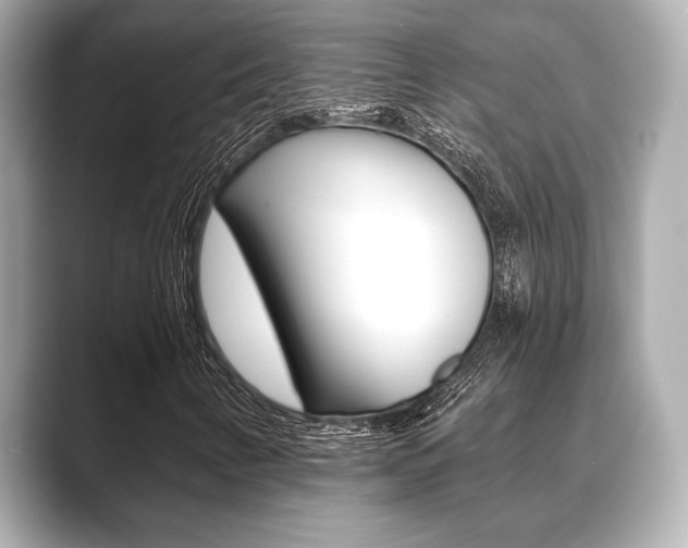 X0000089681346200706210806
