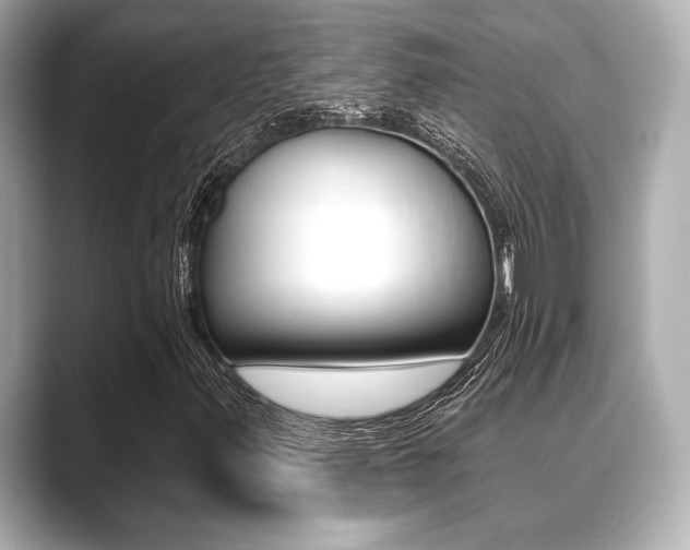 X0000089681347200706210806