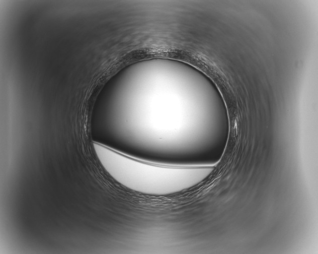 X0000089681348200706210806