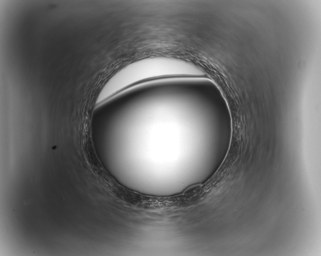 X0000089681349200706210806