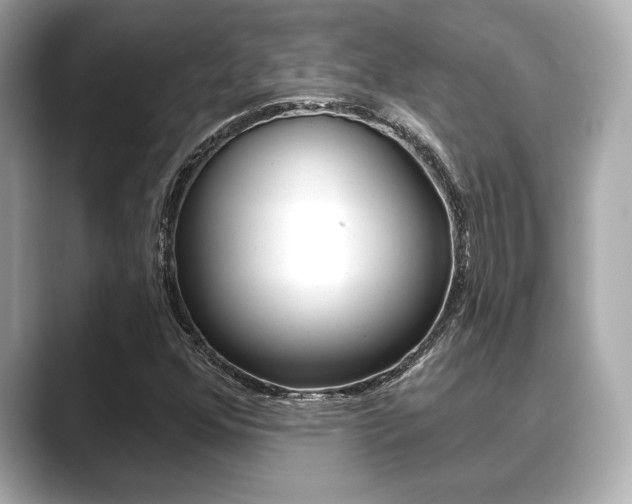 X0000089681352200706210806