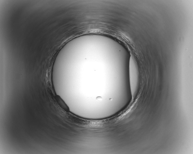 X0000089681353200706210806