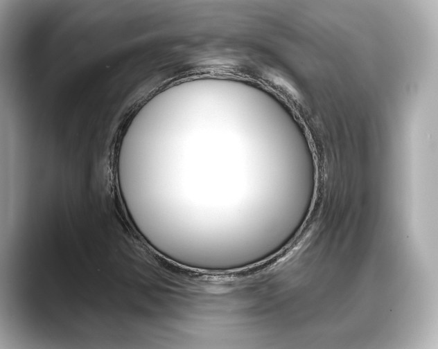 X0000089681354200706210806