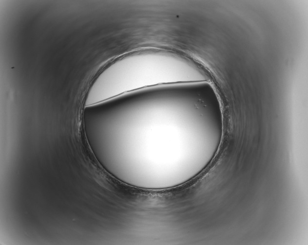 X0000089681355200706210806