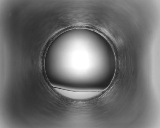 X0000089681356200706210806