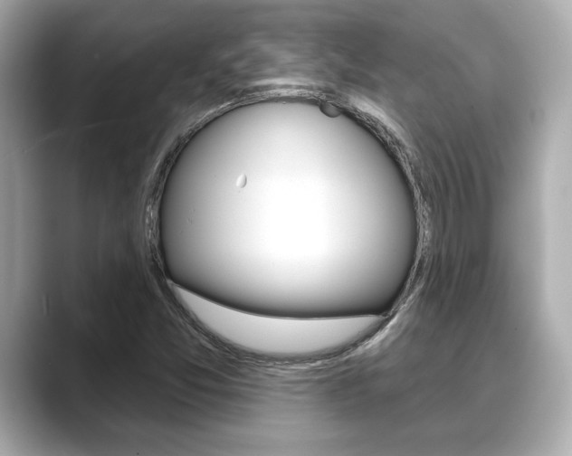 X0000089681357200706210806
