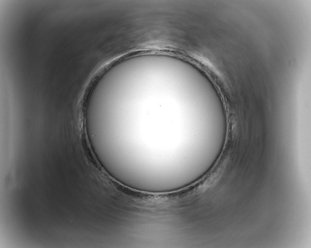 X0000089681358200706210806