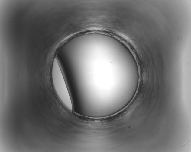 X0000089681359200706210806