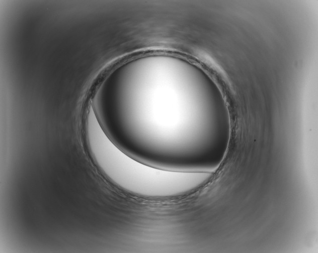 X0000089681360200706210806