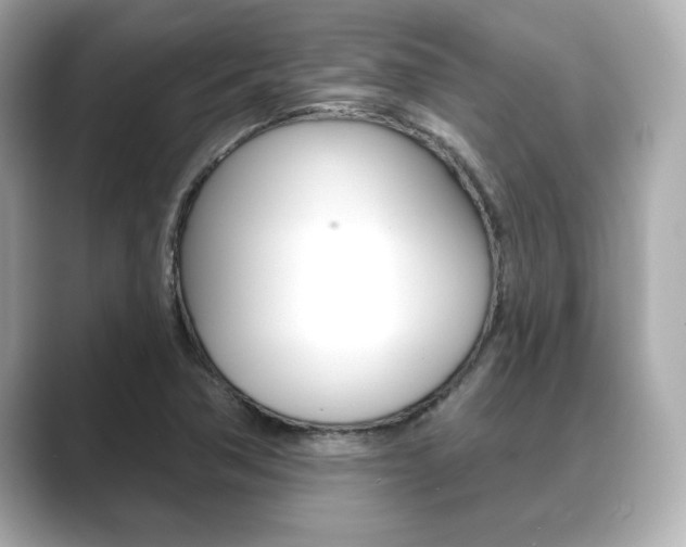 X0000089681362200706210805