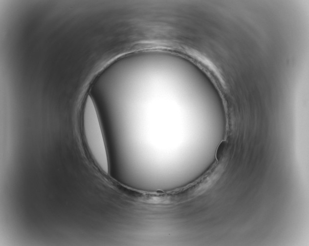 X0000089681365200706210805