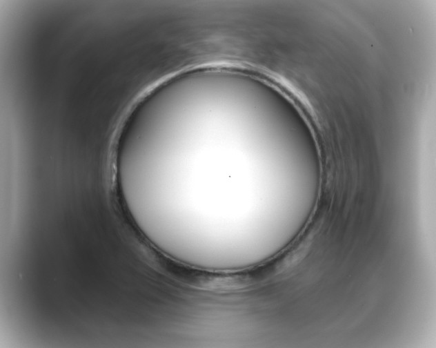 X0000089681367200706210805