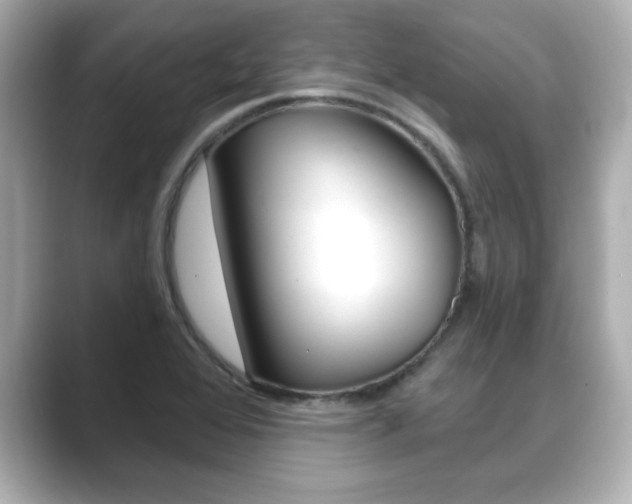 X0000089681368200706210805