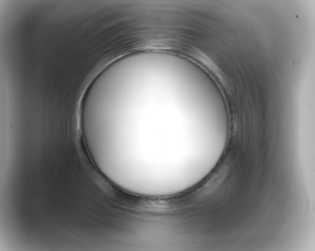 X0000089681370200706210805