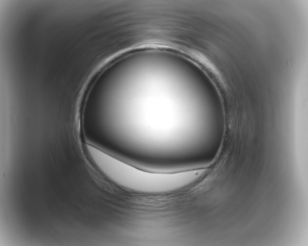 X0000089681372200706210805