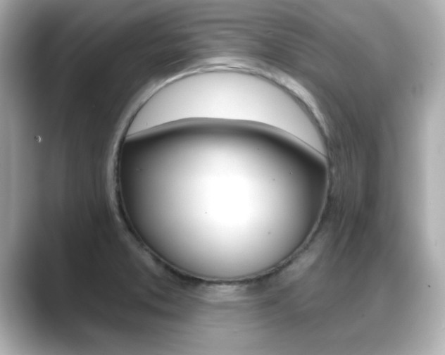 X0000089681373200706210805