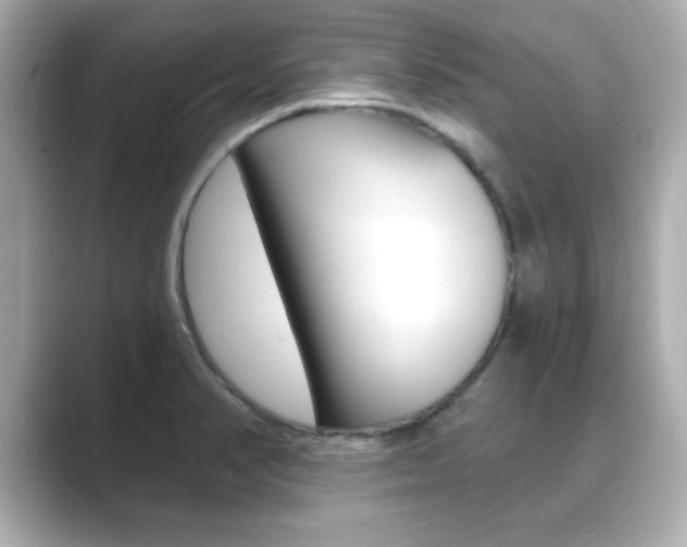 X0000089681374200706210805