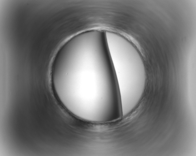 X0000089681375200706210805