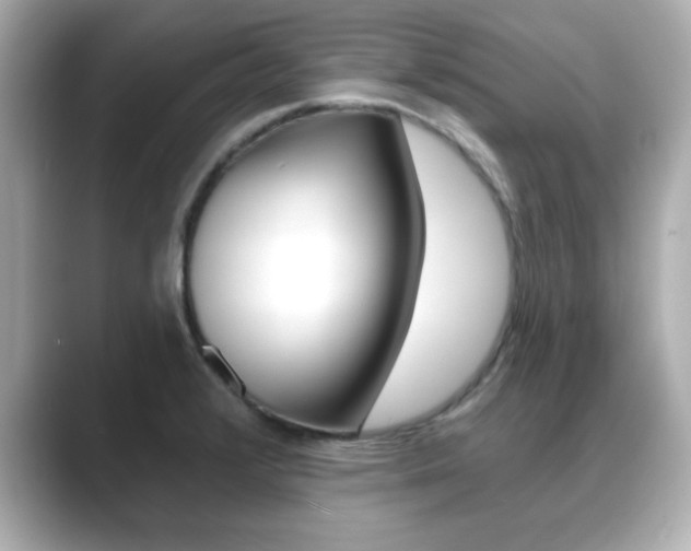 X0000089681376200706210805