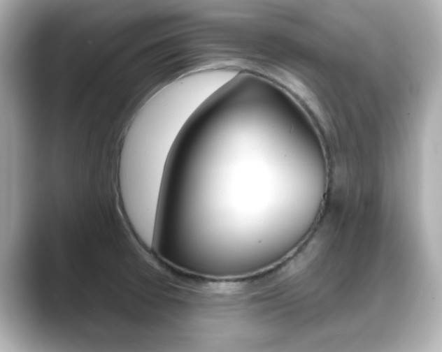 X0000089681377200706210805