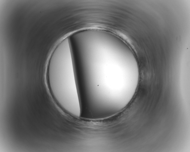 X0000089681379200706210805