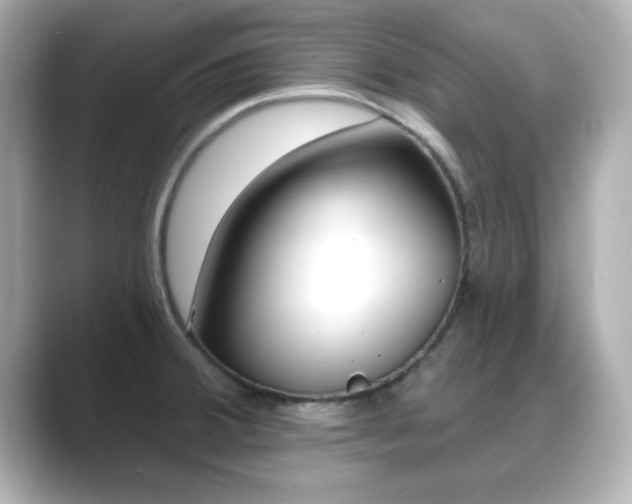 X0000089681380200706210805