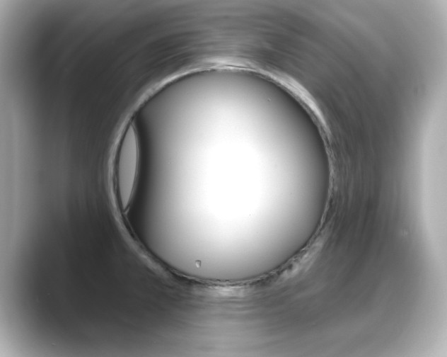 X0000089681381200706210805