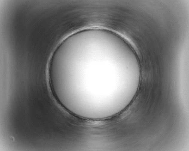 X0000089681382200706210805