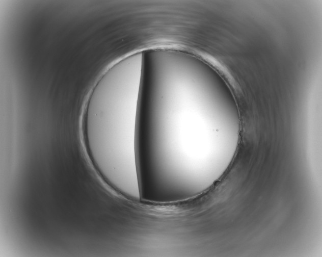 X0000089681383200706210805
