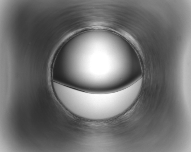 X0000089681384200706210805