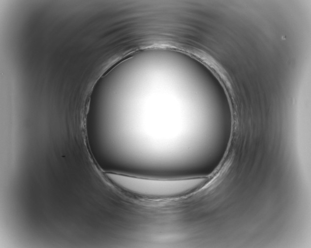X0000089681385200706210805
