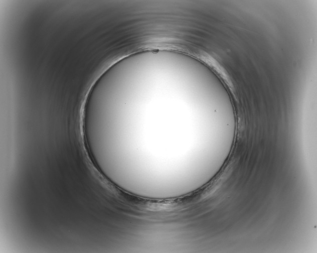 X0000089681386200706210805