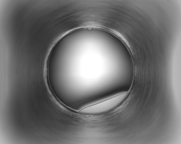 X0000089681387200706210805